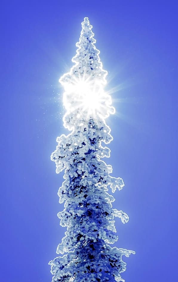 Iron Springs Luxury Lodge & Spa