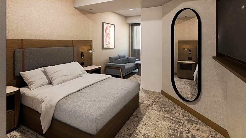 Hilton Garden Inn Mexico City Polanco