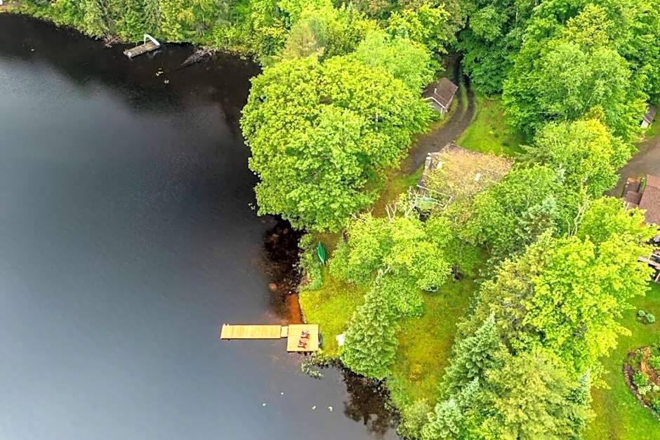 Bear Essentials Hideaway