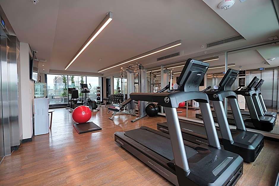SORO Montevideo, Curio Collection by Hilton