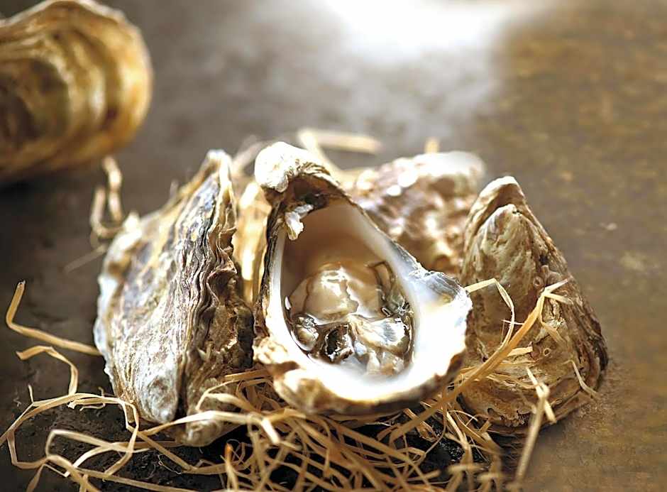 Le Suffren Hotel & Marina