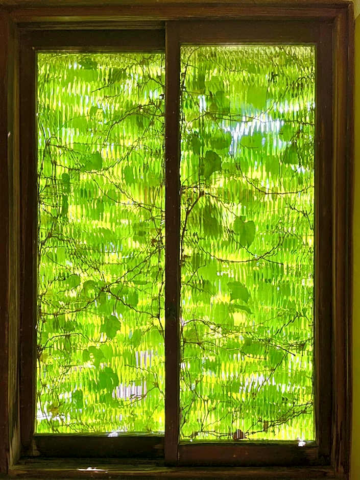 泊まれる廃墟 ぐんじょう