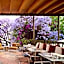 Hotel Dama