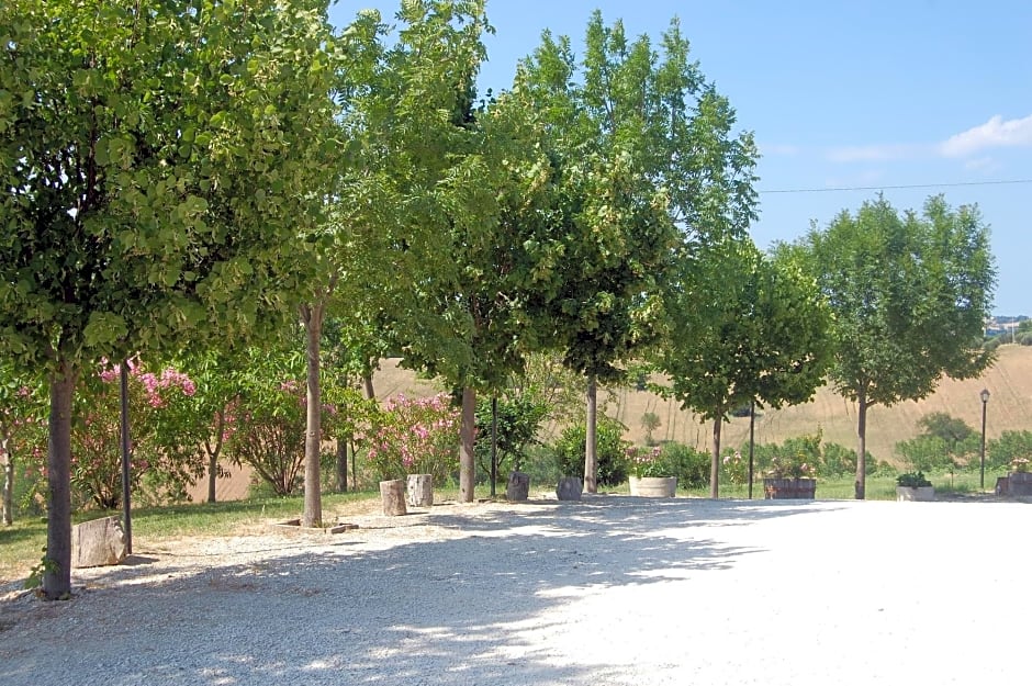 Il Giardino Degli Ulivi