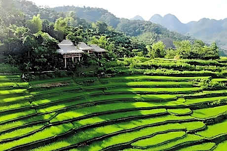 Pu Luong Boutique Garden