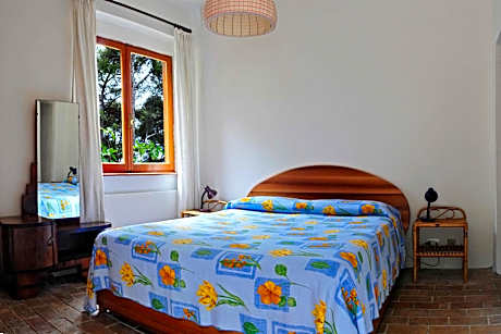 Double Room with Patio