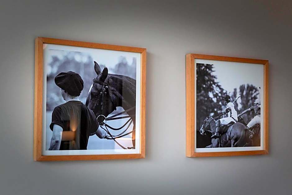 Dazzler by Wyndham Polo