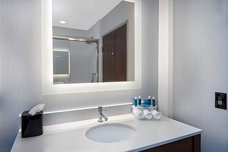 Holiday Inn Express & Suites Round Rock - Austin N