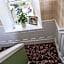 Bank Guest House