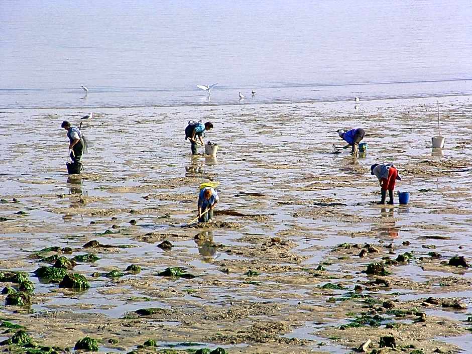Hotel Puente de La Toja