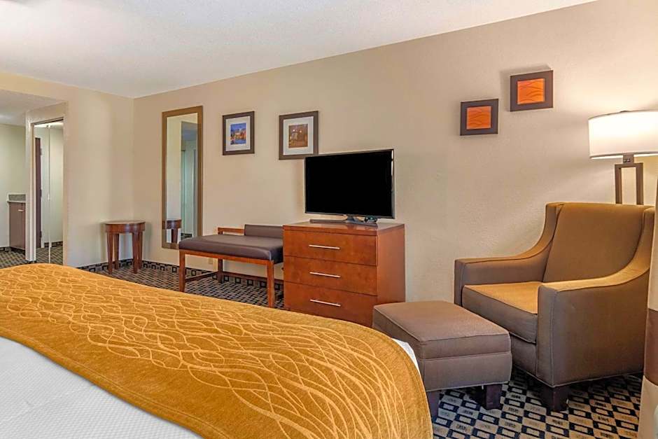 Comfort Inn & Suites Athens