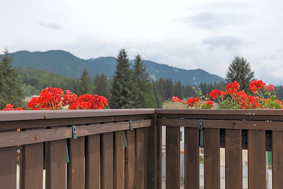 Grand Chalet Aparthotel