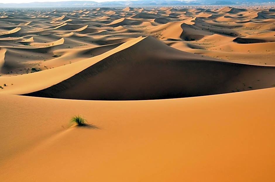 Auberge Restaurant le Safran