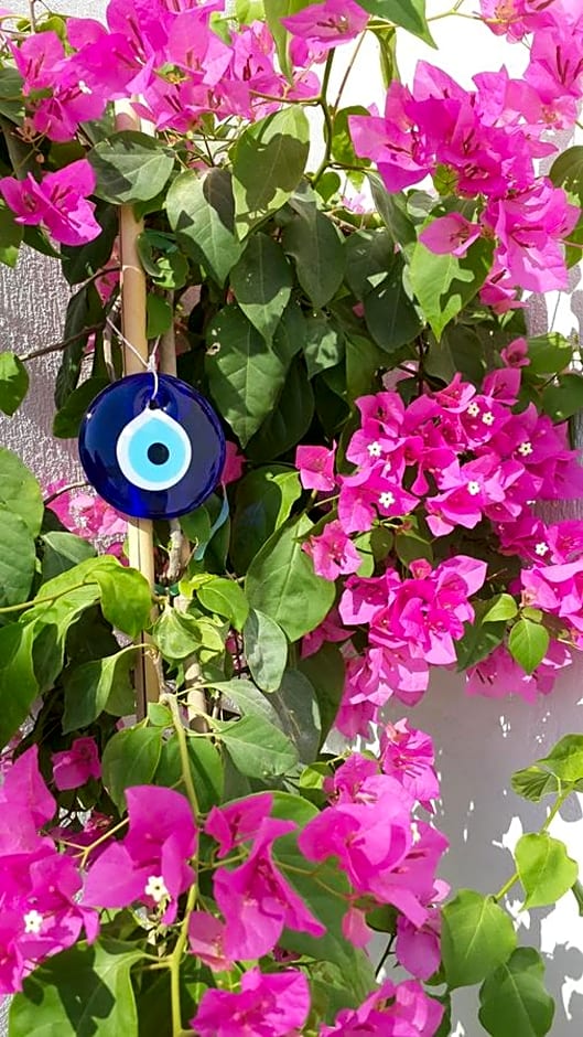 Deniz Yıldızı Pansiyon