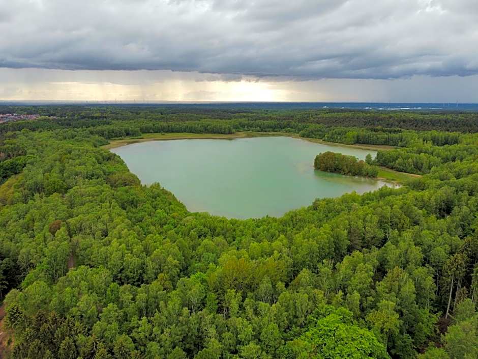 Waldhotel zum Bergsee Damme