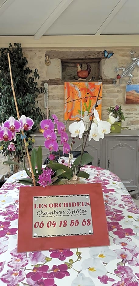 LES ORCHIDEES Chambre Hôtes FUTUROSCOPE CHASSENEUIL POITIERS