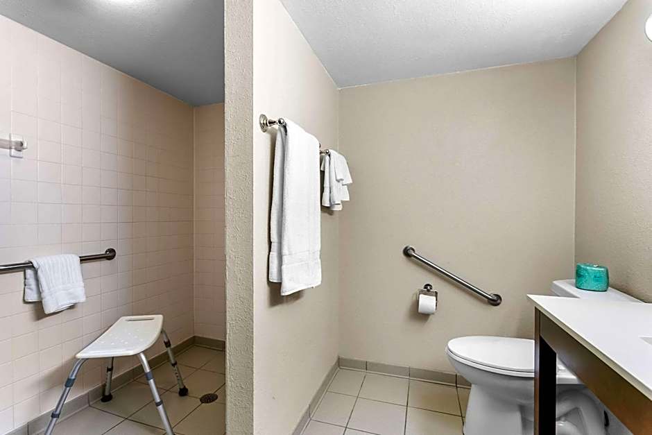 Comfort Inn Red Horse Frederick