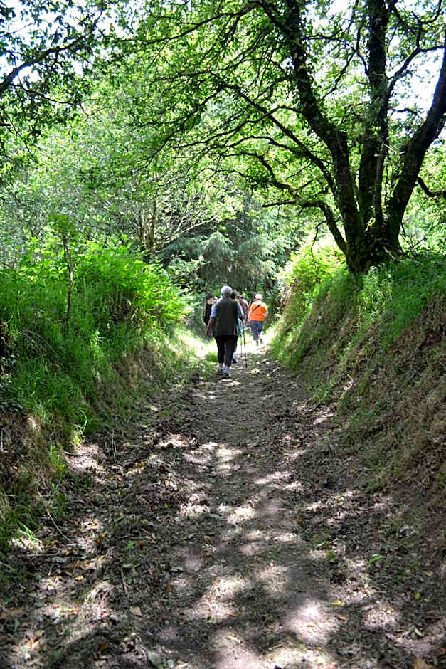 Le gîte de l'Araucaria