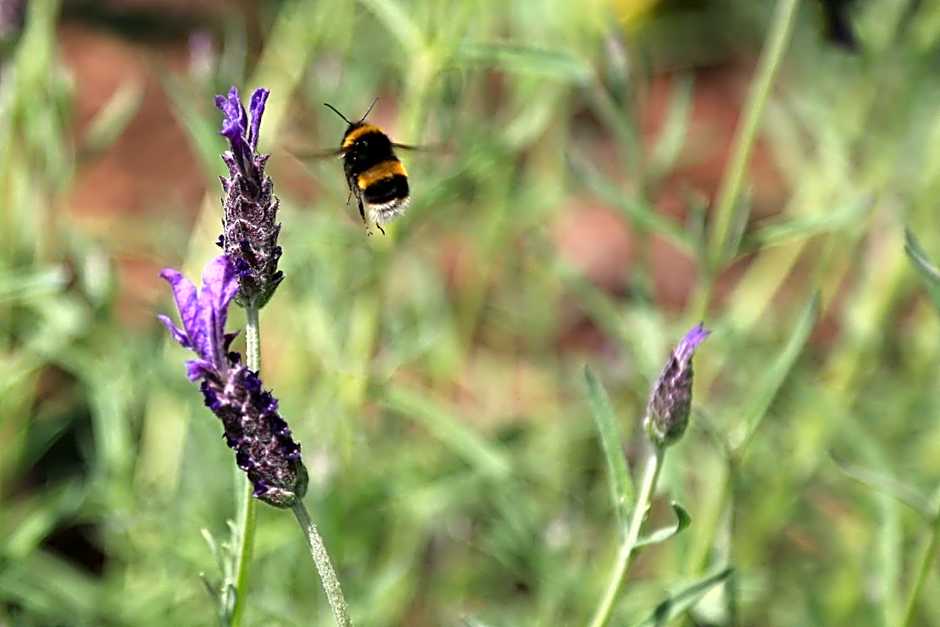 Brecon Pond Bed & Breakfast