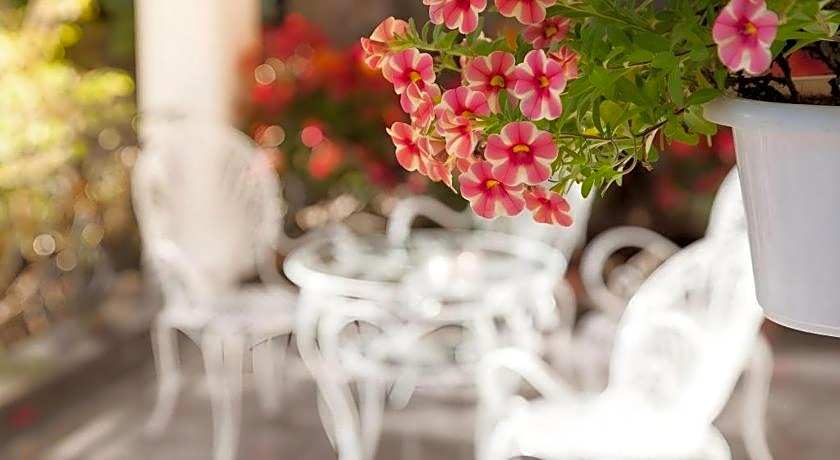 Hoa Sen Vang Hotel Dalat