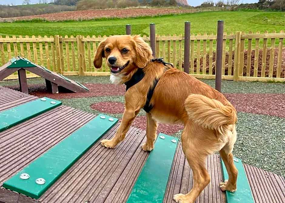 Ladram Bay Holiday Park