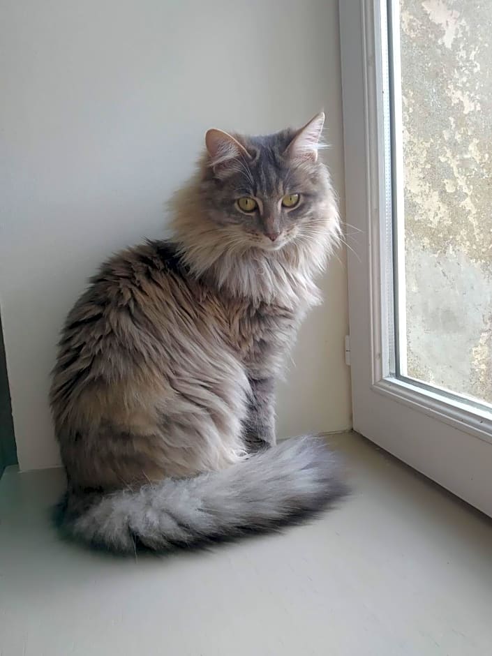 Les Vergers de Cussy