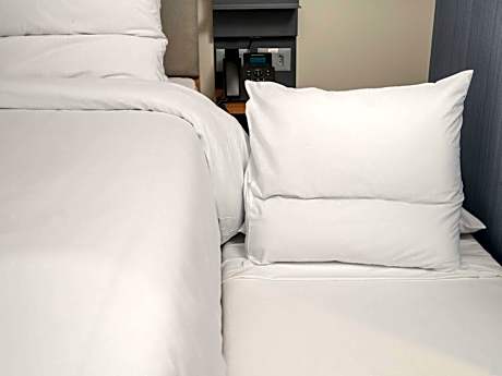 Family Apartment with One Queen Bed and One Pull Out Bed Sea View