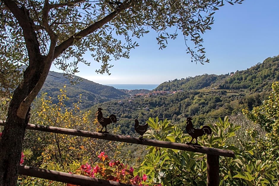 Pietrantica - Affittacamere con giardino NUOVA APERTURA a Trebiano -CITR