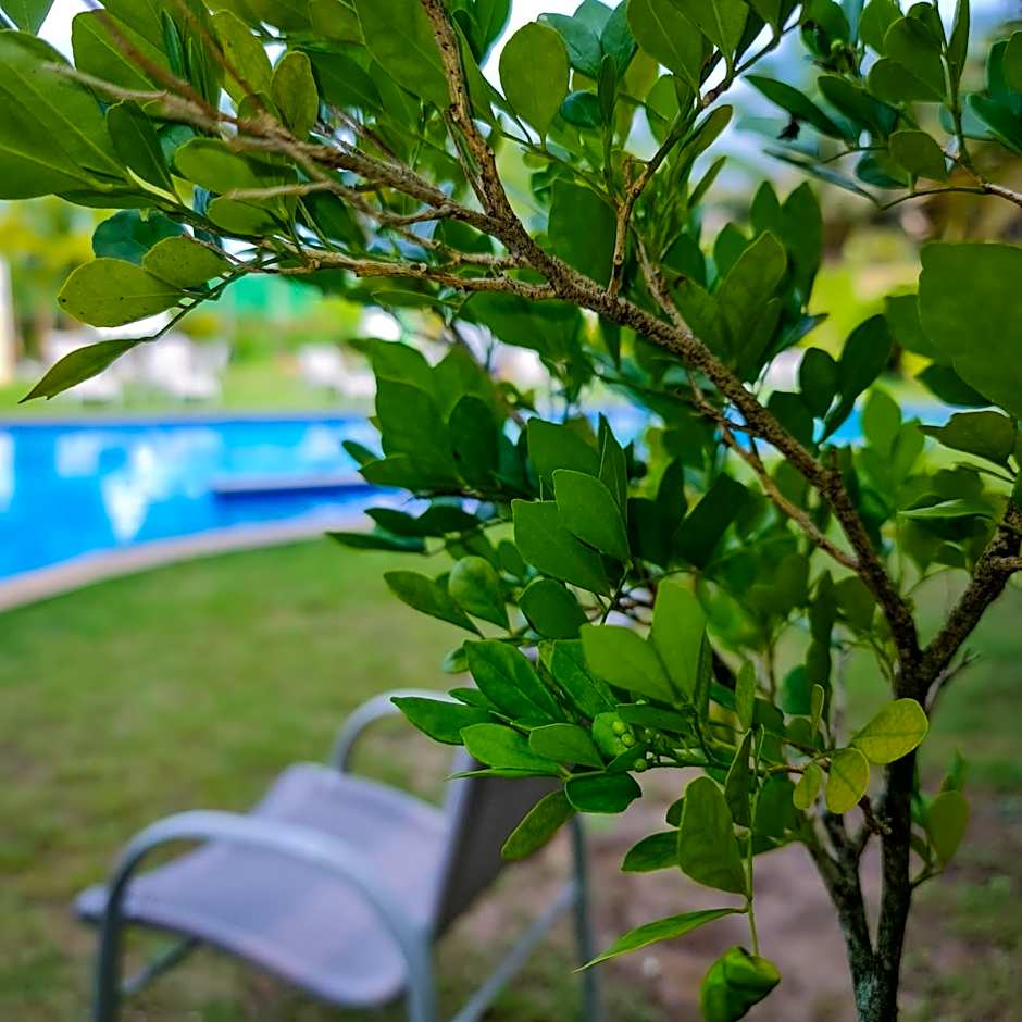 Catussaba Business Hotel