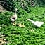 La Vieille Foulonnière : Chambres d'hôtes & Permaculture