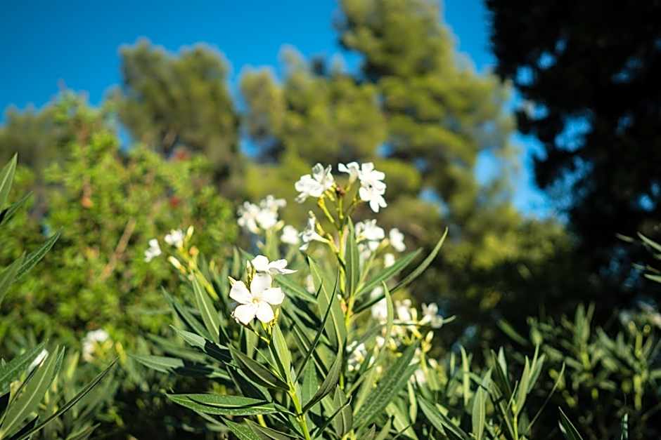 Domaine de Saint Clair