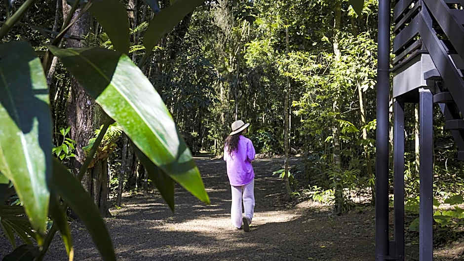 Chambers Wildlife Rainforest Lodges
