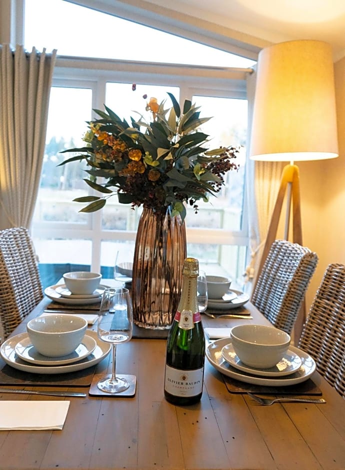 Hollicarrs - The Rushes