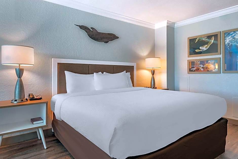 Dolphin Sands Clearwater Beach, an Ascend Collection Hotel
