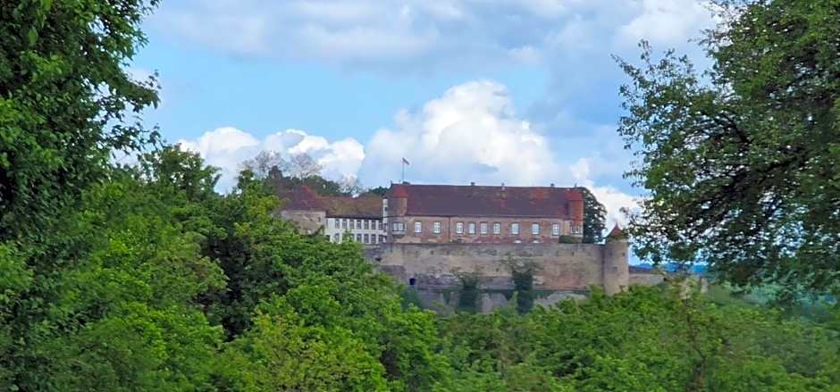 Sali Homes - GaesteHaus Lamm Obersulm