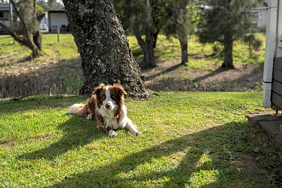 Barlings Beach Holiday Park