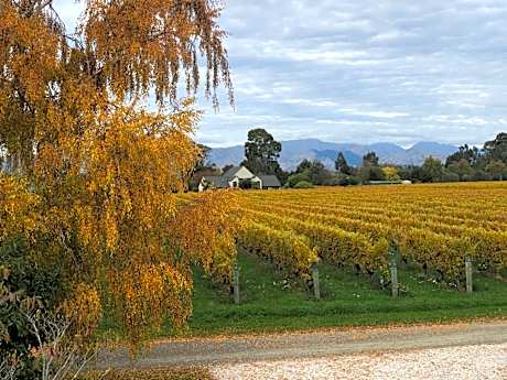 Vineyard Cottage in Blenheim on the Golden Mile
