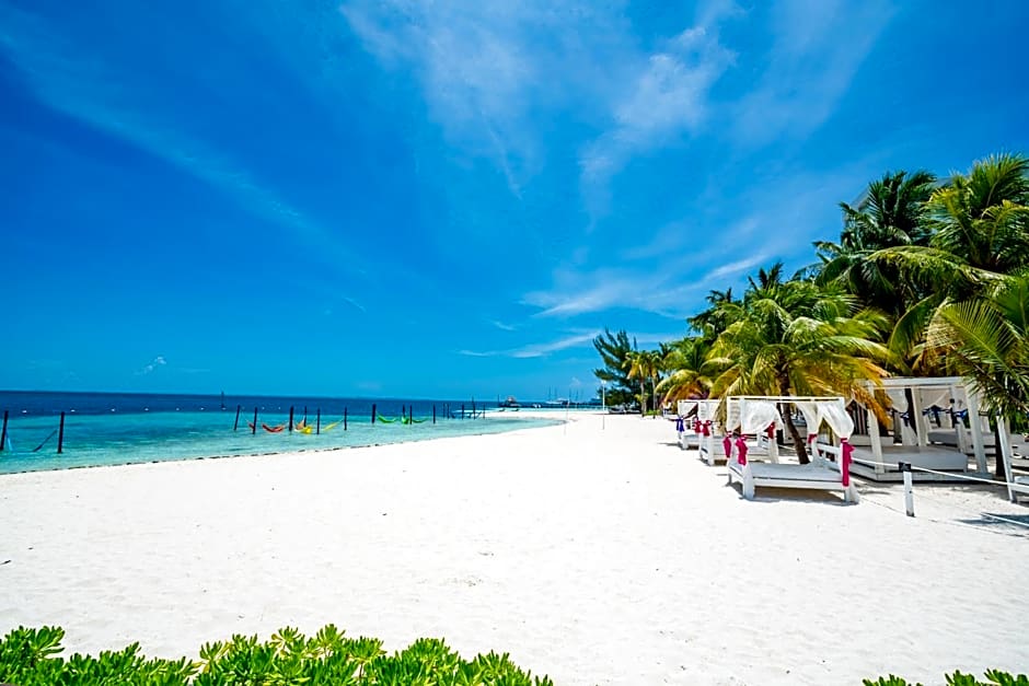 Oh! The Urban Oasis - Adults only