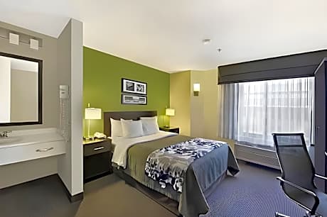 Accessible 1 Queen Bed Non-Smoking