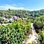 Tarsan Homestay
