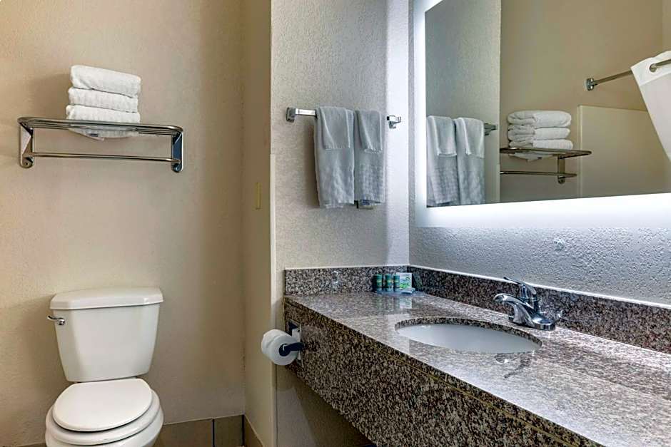 Best Western Palo Duro Canyon Inn & Suites