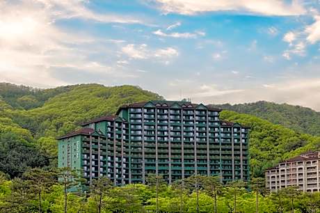 Sono Calm VivaldiPark