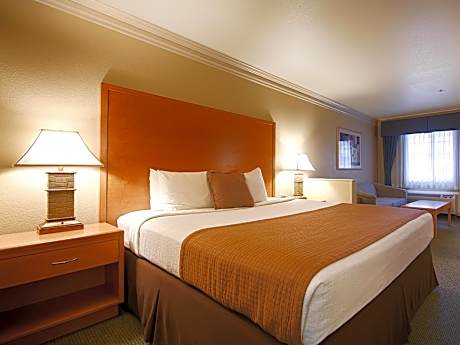 1 King Bed, Non-Smoking, High Speed Internet Access, Microwave, Refrigerator, Work Desk, Continental