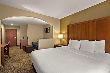 1 King Bed, Suite, Nonsmoking, Accessible