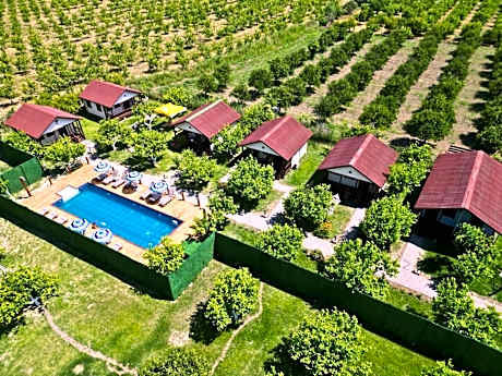 İztuzu Bungalow & Camping
