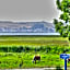 Hotel & Gasthof Zur Linde