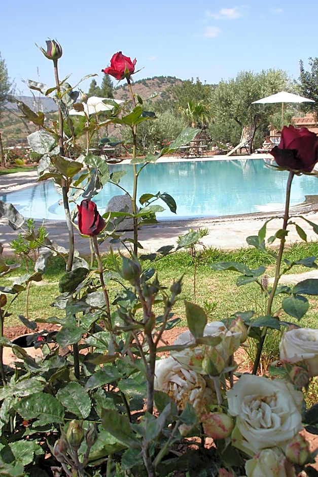 Auberge Chez Momo II