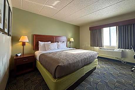 1 King Bed Non-Smoking