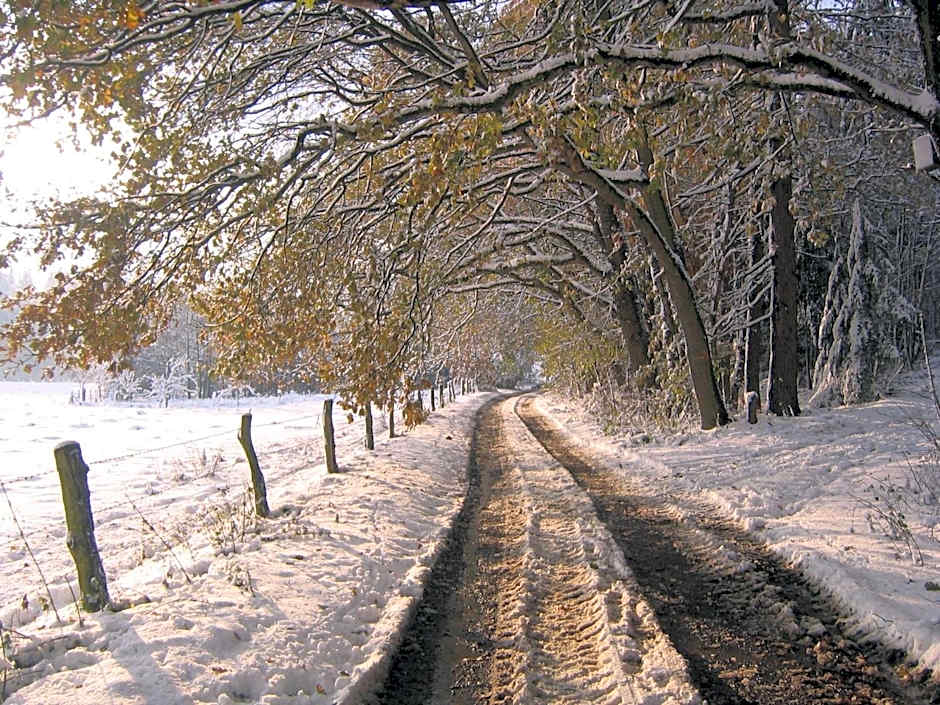 Hotel-Café "Schauinsland"