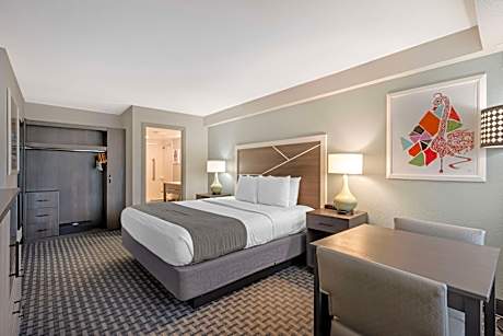 King Room with City View - Non-Smoking